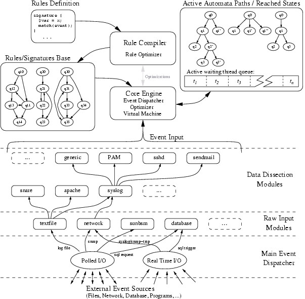 Orchids architecture