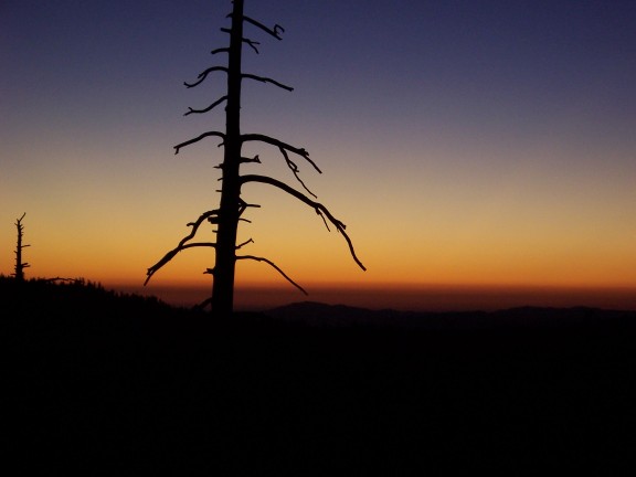 Lever de soleil dans les Yosémites, États-Unis (août 2005)