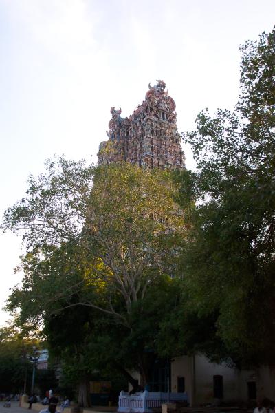 Temple Sri Meenakshi à Madurai, Inde du Sud (janvier 2003)