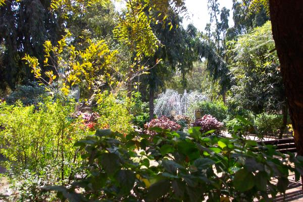 Un jardin-oasis à Madurai, Inde du Sud (janvier 2003)