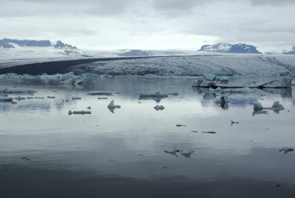 Lagoon de Jökulsárlón, Islande (juillet 2008)