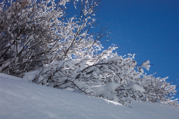 La Plagne (février 2004)