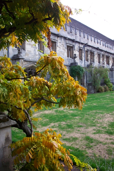 Magdalen College, Oxford, Angleterre (novembre 2003)