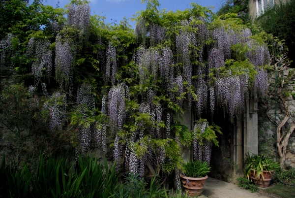 Worcester College, Oxford, Angleterre (mai 2007)